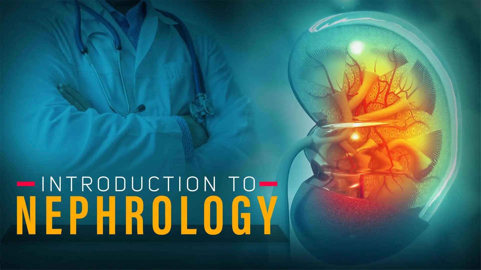 Introduction to Nephrology