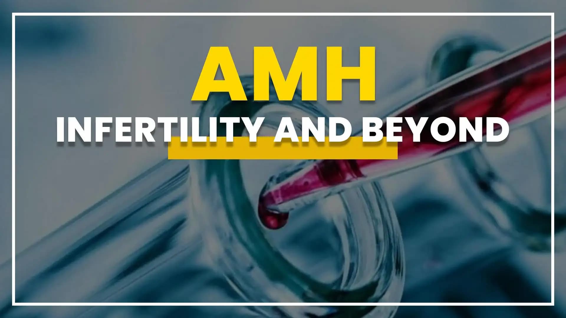 AMH: Infertility and Beyond
