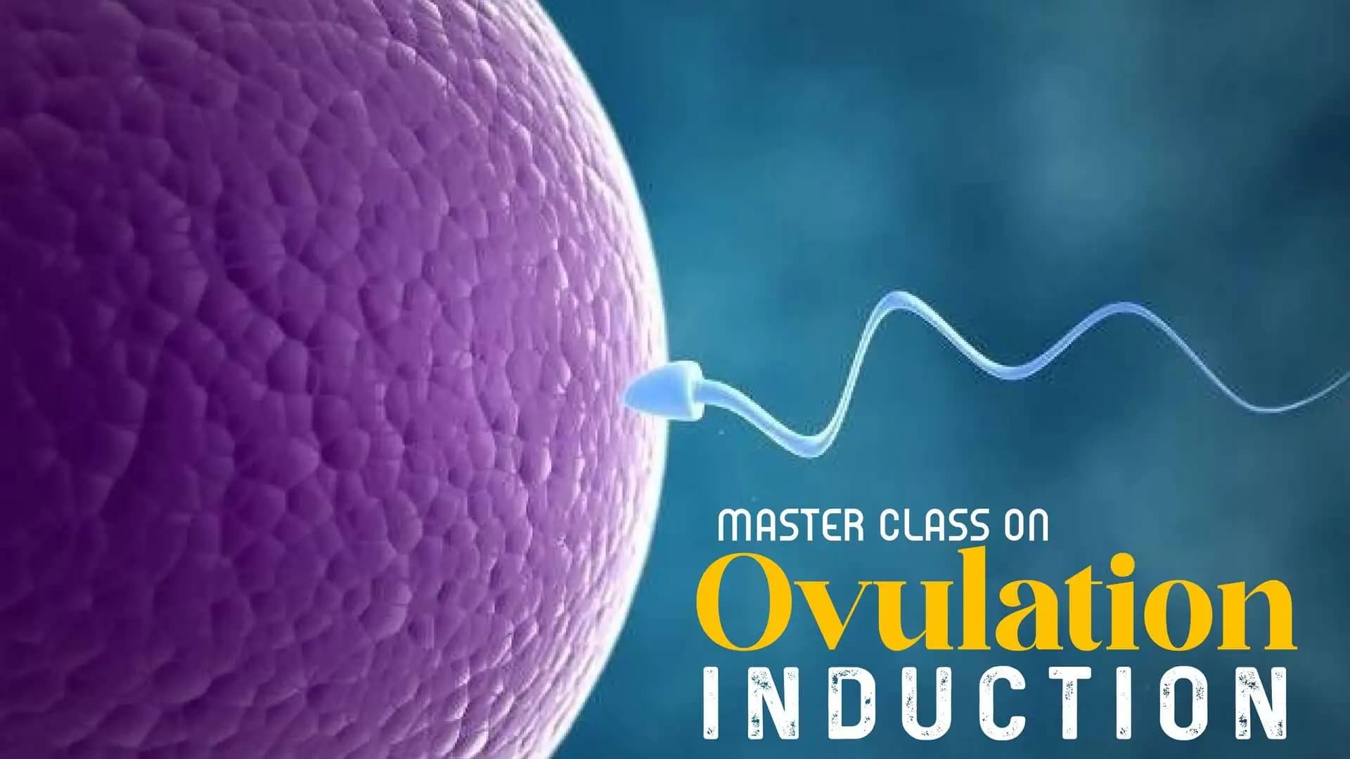 Master Class On Ovulation Induction