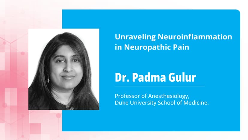 Unraveling Neuroinflammation in Neuropathic Pain
