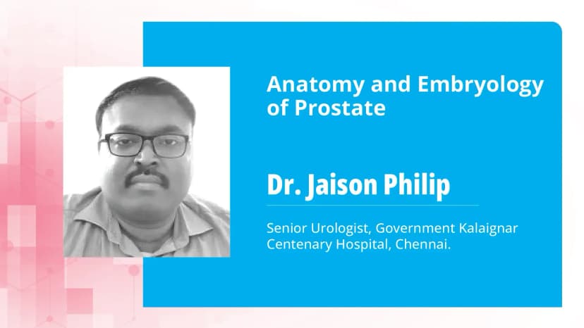 Anatomy and Embryology of Prostate