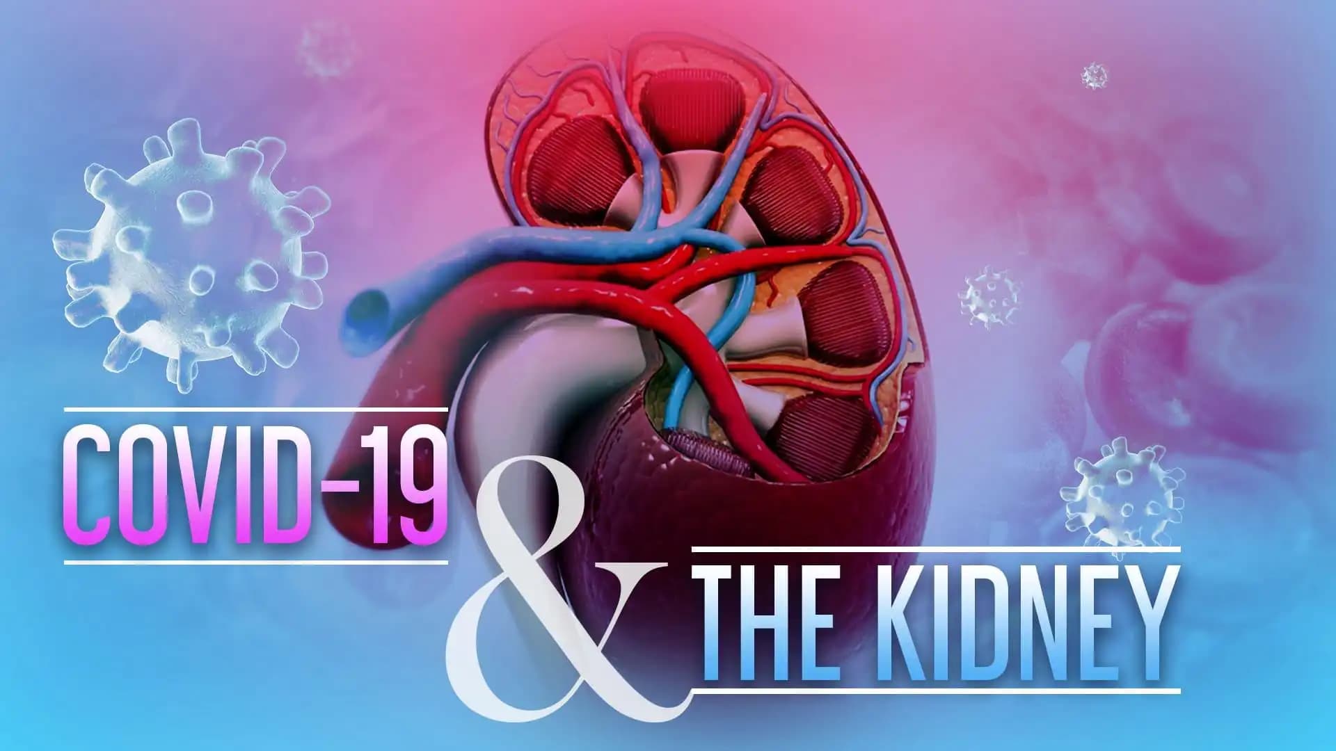 COVID-19 and the Kidney