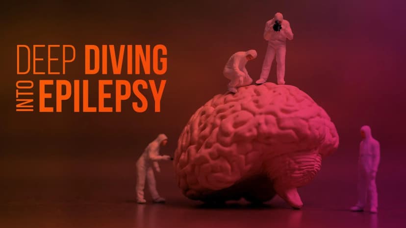 Cingulate and Sleep Related Hypermotor Epilepsy