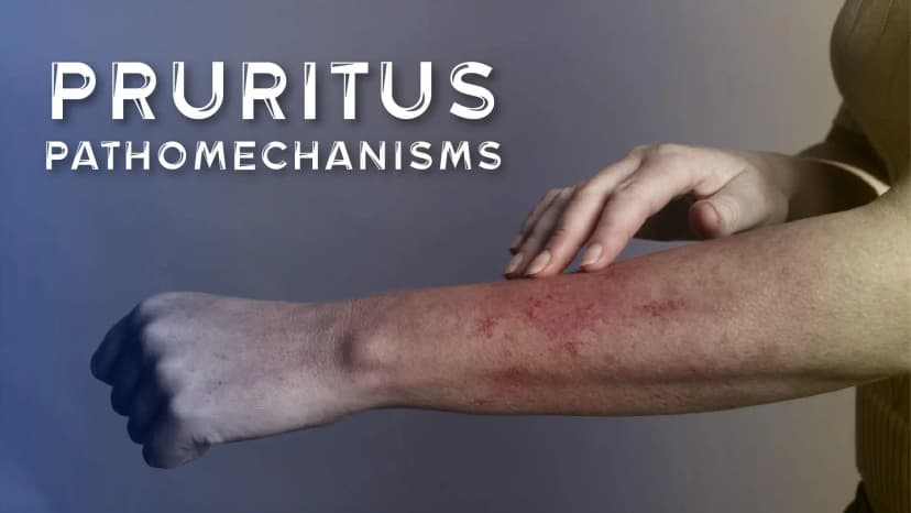 Pruritus Pathomechanisms