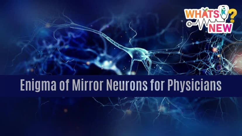 History, discovery, and Role of Mirror Neuron System