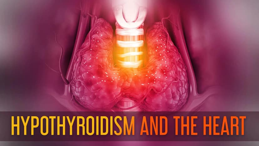 Overt and subclinical hypothyroidism in the elderly: when to treat