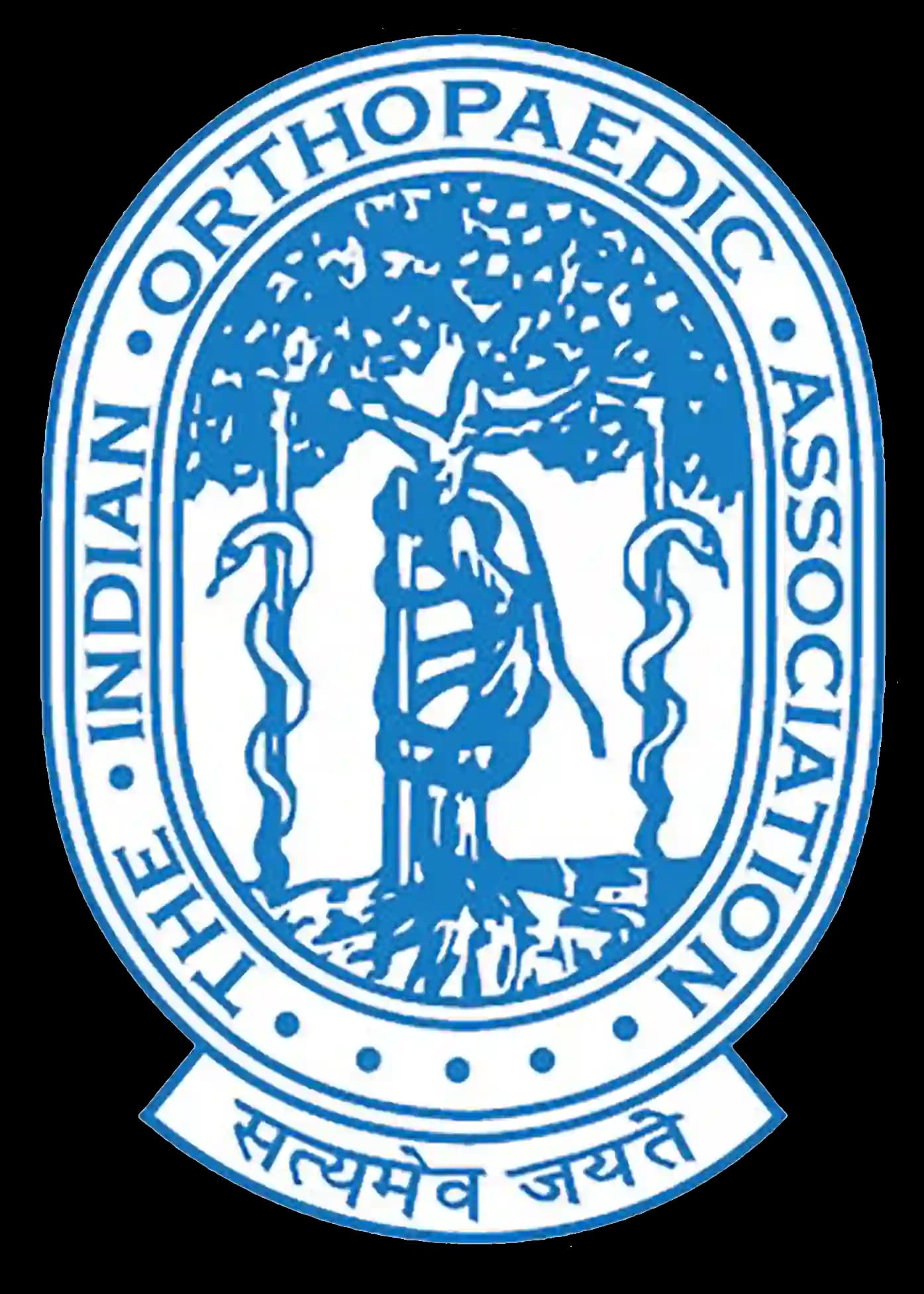 Indian Orthopaedic Association (IOA)