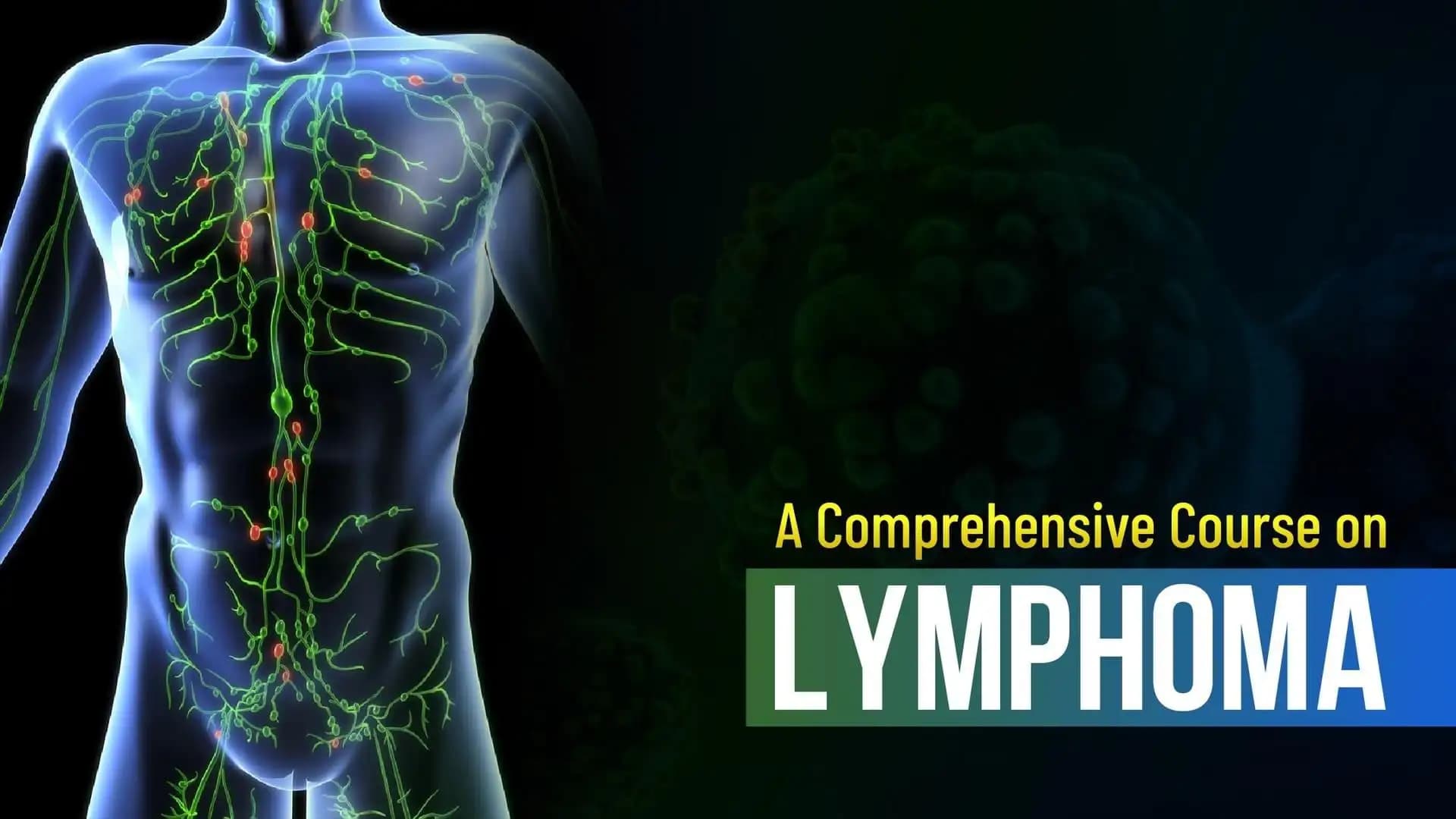 A Comprehensive Course on Lymphoma