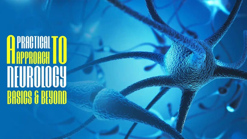 Introduction to Cerebellum and Eye Movements